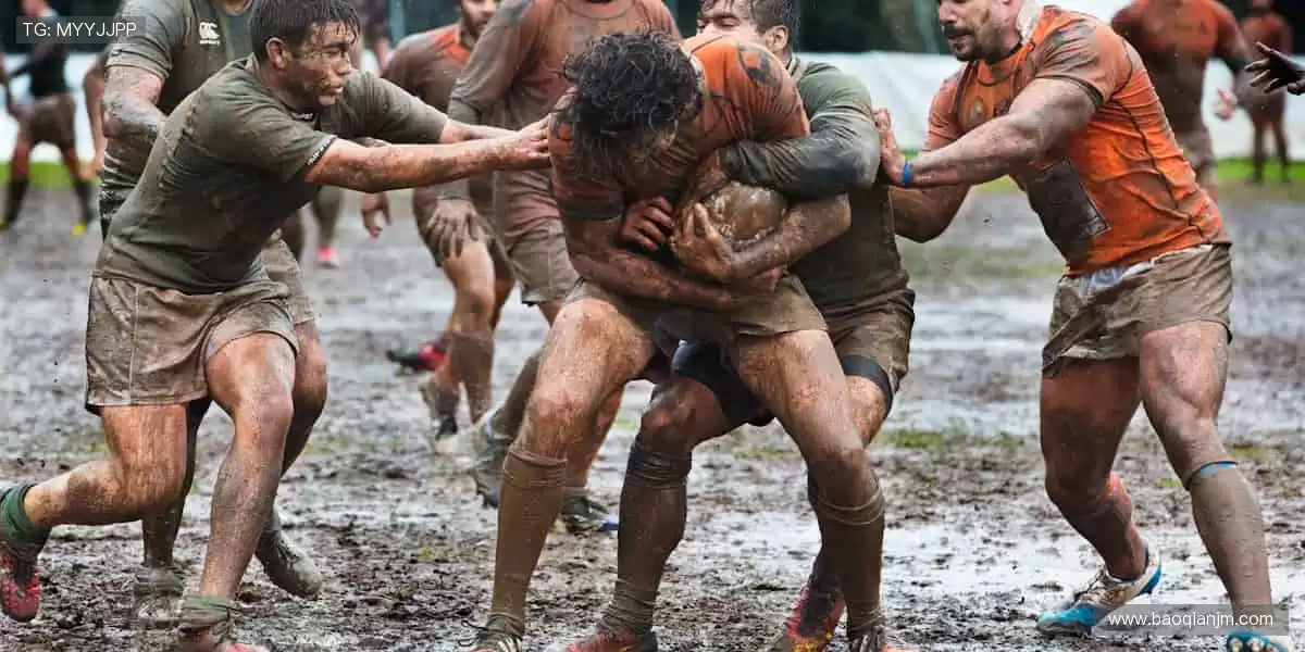 🏀激情赛场，见证冠军诞生时刻！